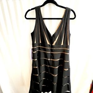 JS Collection fit and flare gorgeous evening dress! NWT